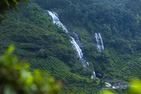 Mount View Munnar - Image 5