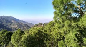 Pine Villa - Image 2