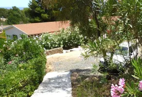 Verde - Image 2