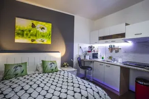 Studio Apartment Petrzalka Air-Conditioned 24h check-in - Image 1