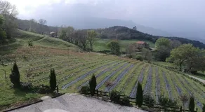elbosqueencantadocantabria - Image 5