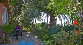 CASA FLORES - Image 4