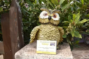 B&B Giosy - Image 3