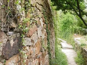 Suzhou Yinghu Suoyuan Homestay (Taihu Lake Eastern Mountain Scenic Area) - Image 4