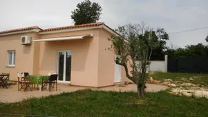 Olive House Sisan - Image 2
