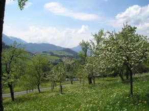 Haus Oberhaslach - Image 4