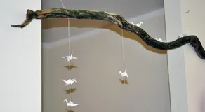 Nubis Residence Cerna - Image 3