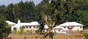 Bagh Tola - Image 5