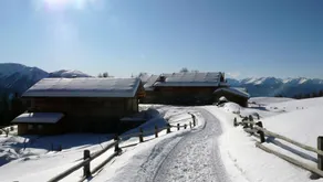 Schutzhütte Kreuzwiese - Image 4