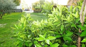 Apartment Put Vidaka - Image 2