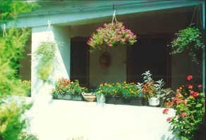 Vali Vendégház - Image 2