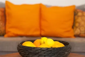 Dominique Studios - Image 5