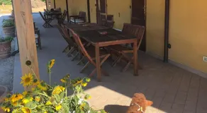 Agriturismo Tenuta Fonte Mosco' - Image 3