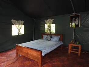 Yala Peocok Camping - Image 2
