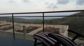 Casamuler - Image 2