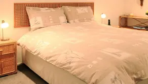 Artizana Suite - Image 5