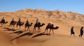 berber & camel trek - Image 3