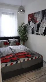 King23 - Image 2