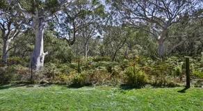 Wildwood - Pet Friendly - 5 Mins to Beach - Image 3