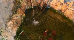 Au clos provencal - Image 3