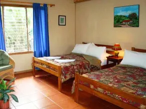 Turrialtico Lodge - Image 4
