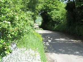 2 Bursteads Cottages - Image 2