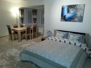 Spa Park Guest Rooms - Pokoje Gościnne Park Zdrojowy - Image 5