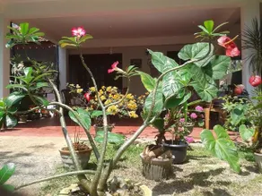 Eden Homestay - Image 4