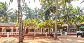 White Negro Beach Resort - Image 2
