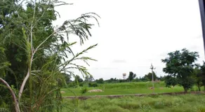 The Rohit Vilas Homestay - Image 3