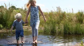 Het Torentje van Trips - Image 3