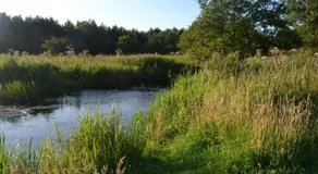 Granly - Image 5