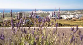 Naxos View - Image 4