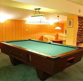 SPA Hotel Borova Gora - Image 4