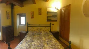 IL MIGNOLO DI SAN GIOVANNI - Image 3