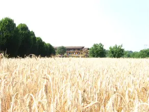 Residence La Bellotta - Image 3