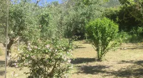 THE CABIN, KYPARISSIA - Image 3