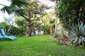 Sole del Sud - Image 4