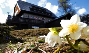 Oav Linzerhaus Genuss Hutte - Image 5