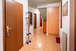 Sobe Silva - Image 5