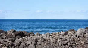 Ocean Breeze - Image 5