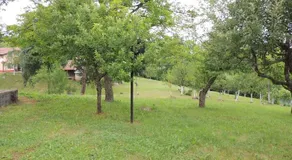 Green Eden - Image 3