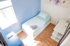 Avocado House - Image 4