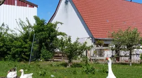 Die Gefährten - Image 3