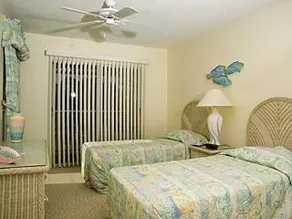 Sea Shells Of Sanibel - Image 4