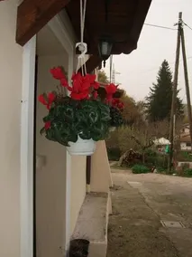 Il casale di Pino e Rita - Image 5