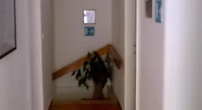 Haus Diana - Image 4