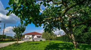 Ankin Dvor - Image 5