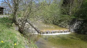 Alpenhaus Ammertal - Image 3