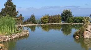 Riendas Vivas - Image 3